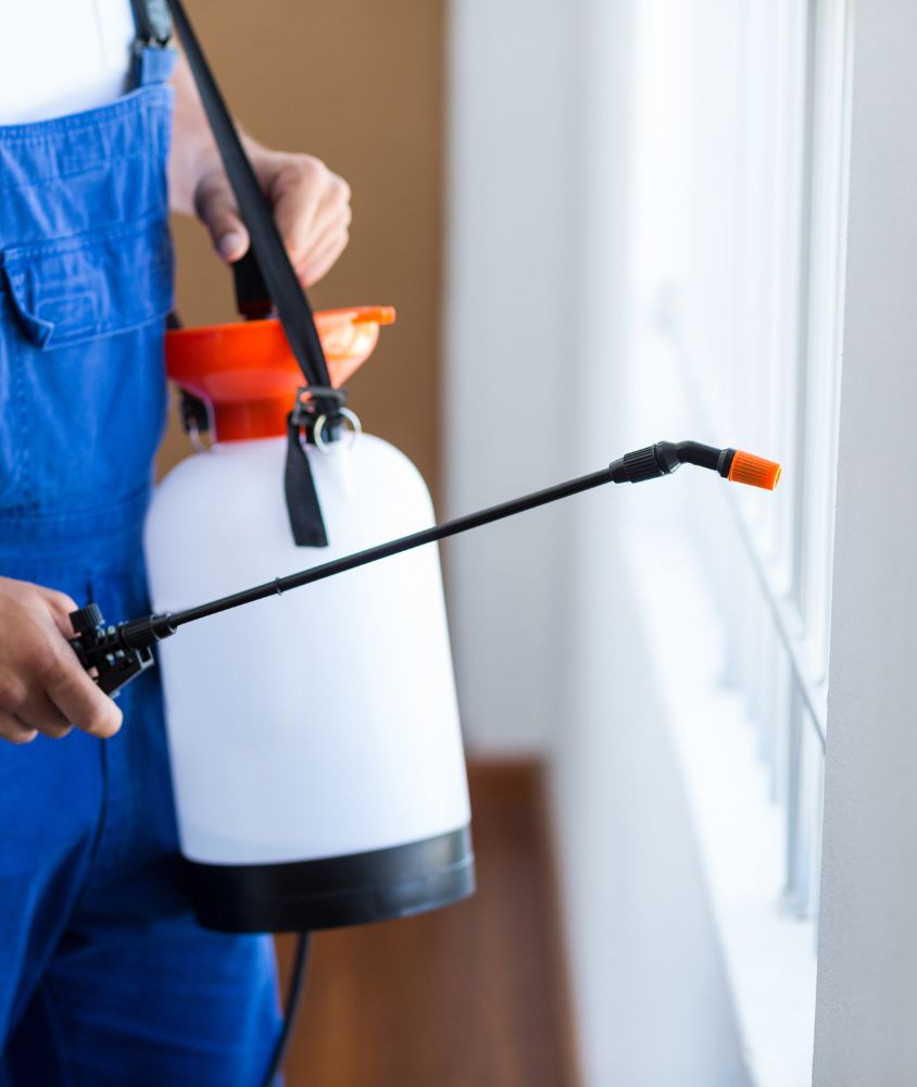 dedetizador em São Bernardo do Campo